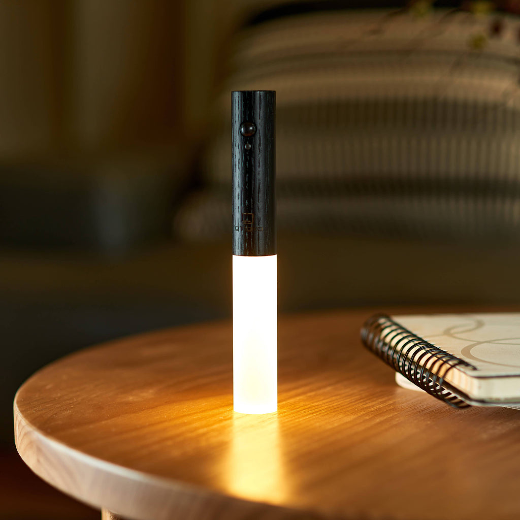 Smart Baton Light